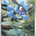 S12a #201 Riolu