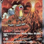 S12a #213 Entei V