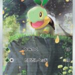 S12a #206 Turtwig